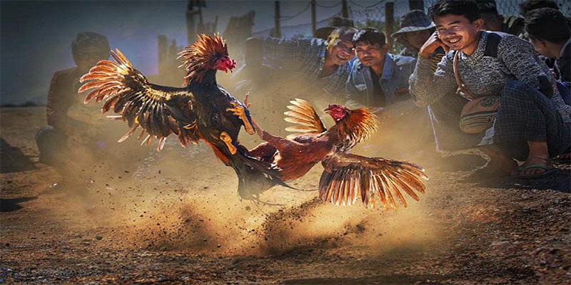 k89bet xổ số bữa nay