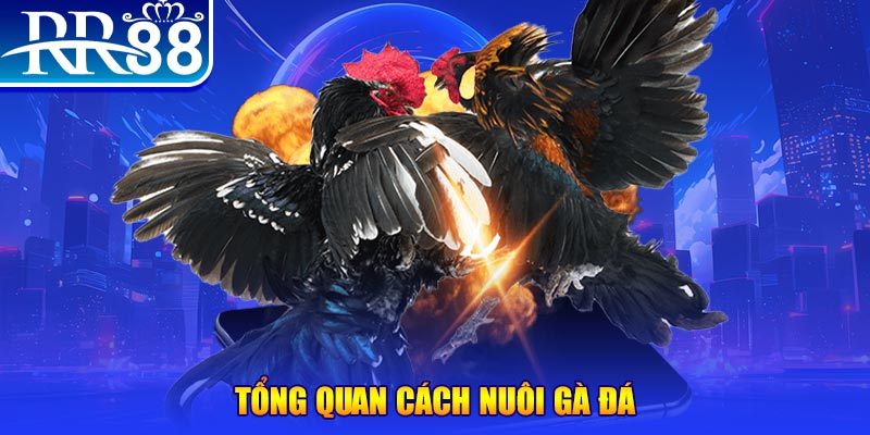 k89bet game nổ hũ rút tiền mặt là gì