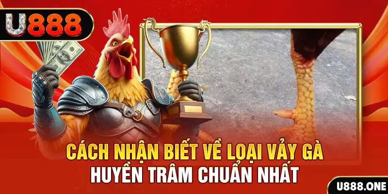 k89bet đăng nhập nổ hũ số 1
