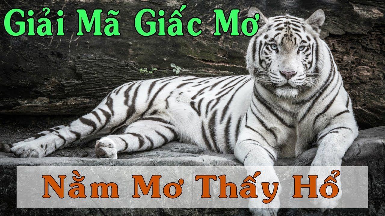 k89bet nổ hũ là game gì