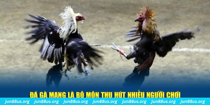 k89bet nổ hủ nghĩa là gì