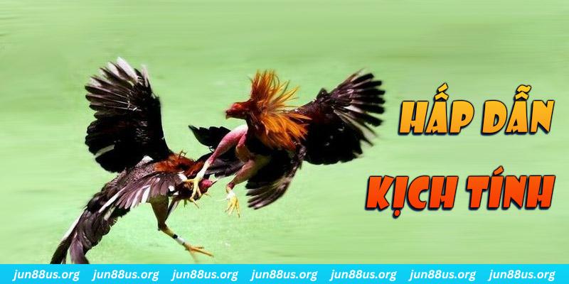 k89bet đăng nhập roulette online