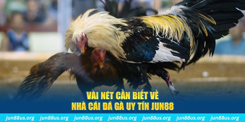 k89bet đăng nhập phỏm khuyến mãi