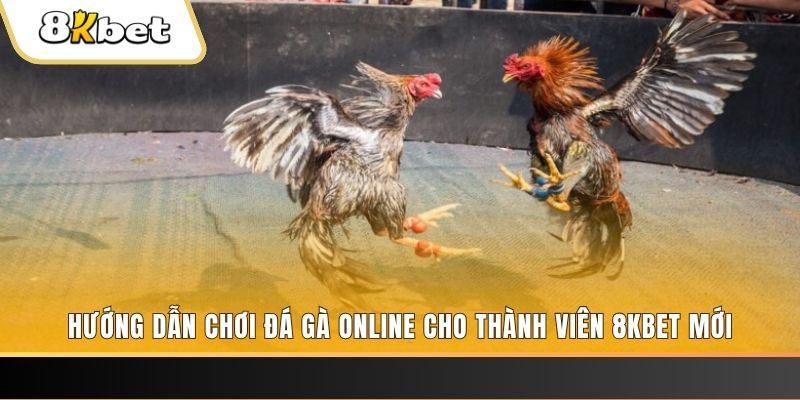 k89bet JILI Game Bài 3d