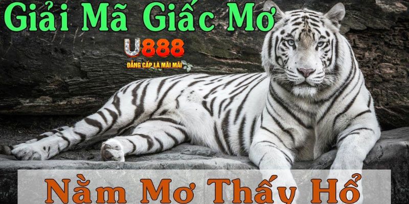 k89bet xổ số miền bắc xổ số miền bắc