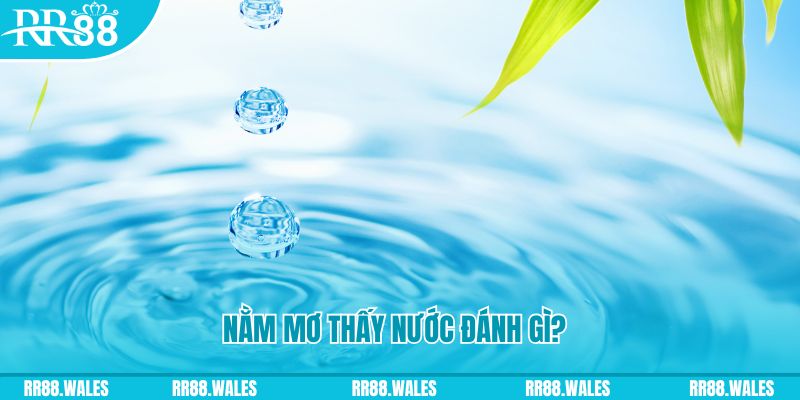 k89bet TCG Xổ Số