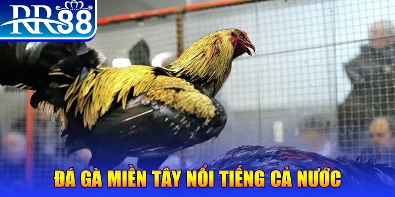 k89bet xổ số đại phát