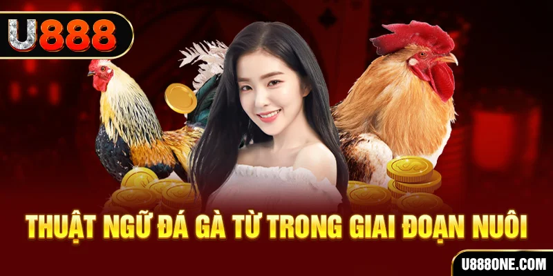 k89bet xổ số miền bắc 90 ngày
