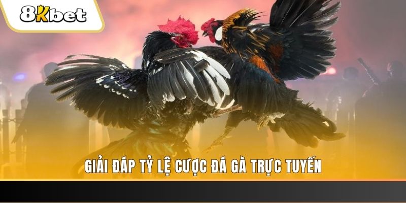 k89bet ga choi cau thanh