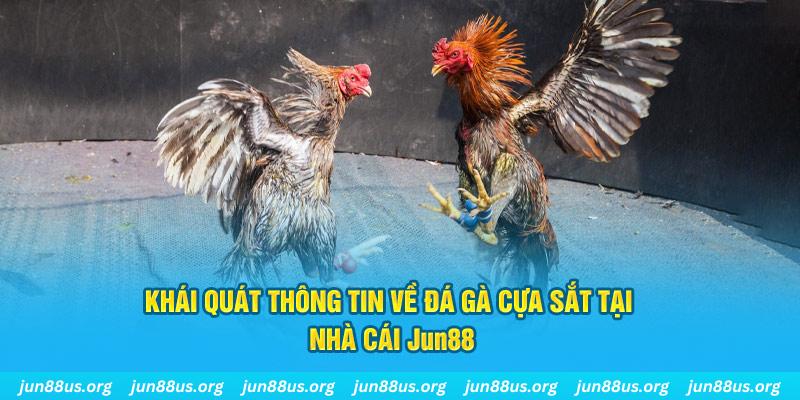 k89bet xổ số miền bắc thứ bảy hàng tuần
