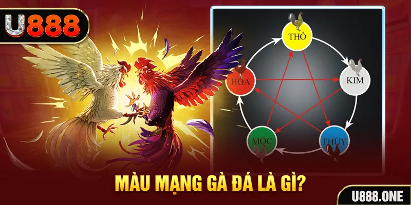 k89bet xổ số miền trung thứ tư hàng tuần