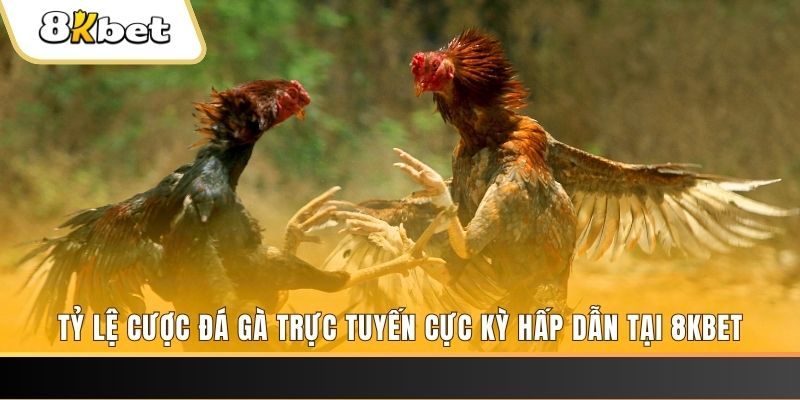 k89bet đăng nhập nổ hũ trực tuyến