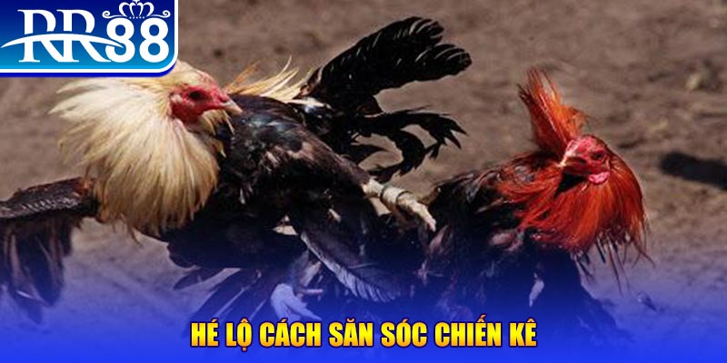k89bet xổ số miền trung thứ tư