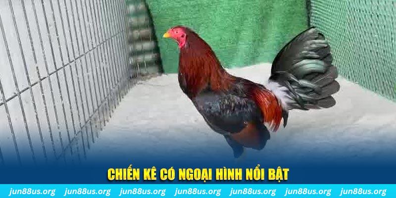 k89bet game bắn cá