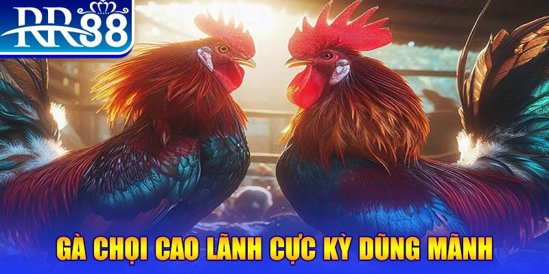 k89bet HB Điện Tử
