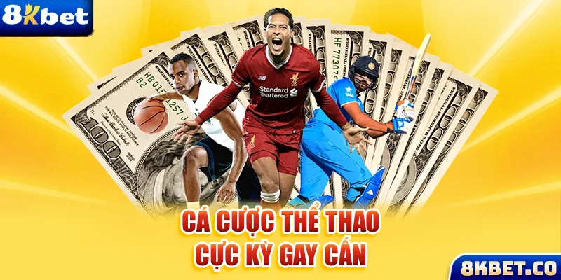 k89bet xem đá gà trực tiếp